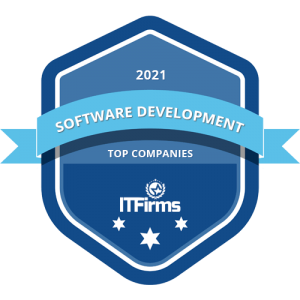 Top Custom Software Development Companies It Firms